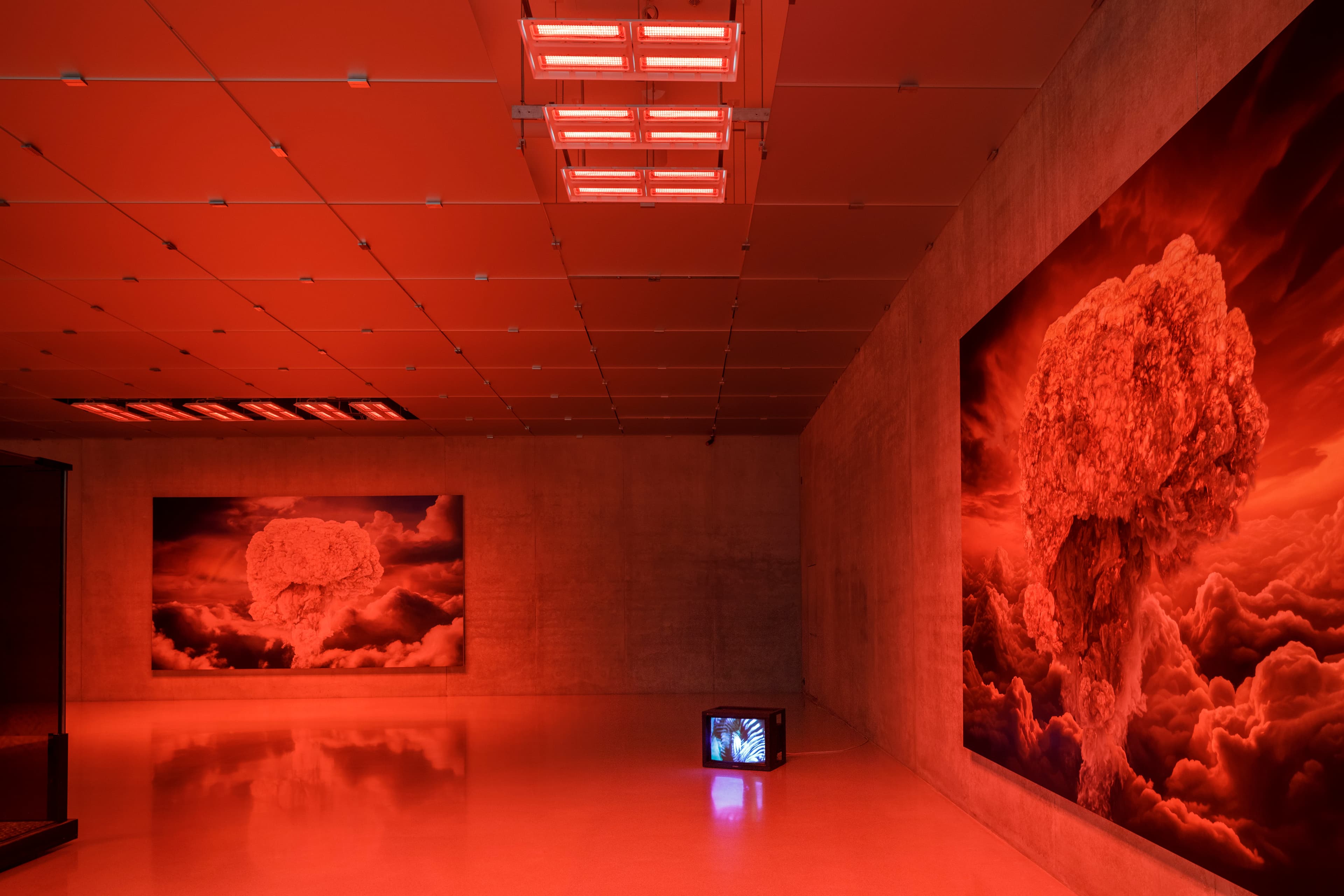 Anne Imhof، Kunsthaus Bregenz، 2024 — 4/35